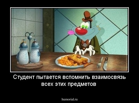 Студент пытается вспомнить взаимосвязь всех этих предметов