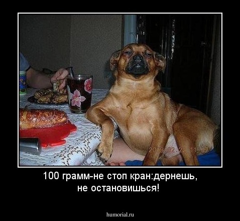 100 грамм-не стоп кран:дернешь, не остановишься!