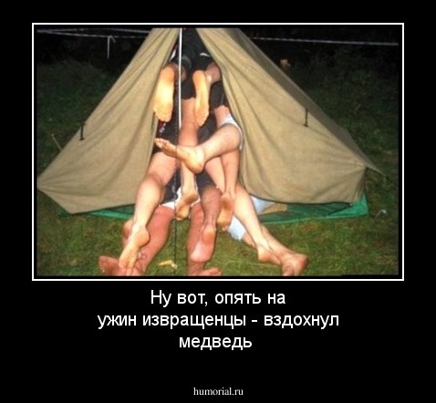 Ну вот, опять на ужин  извращенцы - вздохнул медведь 