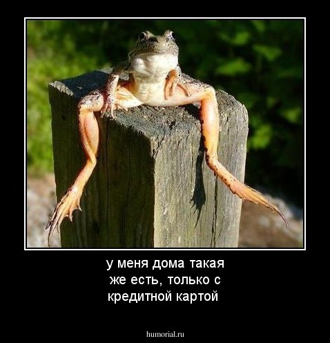 у меня дома такая же есть, только с кредитной картой