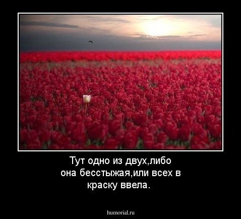 Тут одно из двух,либо она бесстыжая,или всех в краску ввела.
