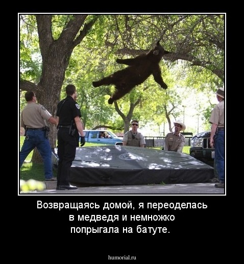 Возвращаясь домой, я переоделась в медведя и немножко попрыгала на батуте.