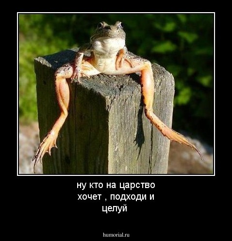 ну кто на царство хочет , подходи и целуй