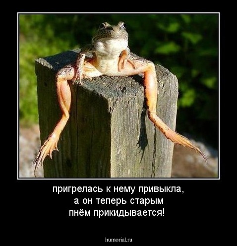 пригрелась  к нему привыкла, а он теперь старым пнём прикидывается!