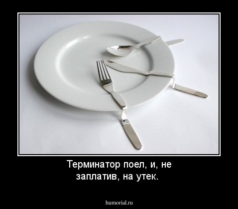 Терминатор поел, и, не заплатив, на утек.