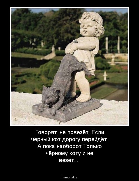 Говорят, не повезёт,
Если чёрный кот дорогу перейдёт.
А пока наоборот
Только чёрному коту и не везёт...
