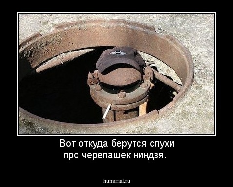 Вот откуда берутся слухи про черепашек ниндзя.