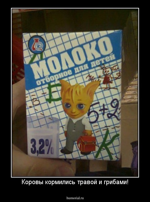 Коровы кормились травой и грибами!