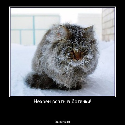 Нехрен ссать в ботинки!
