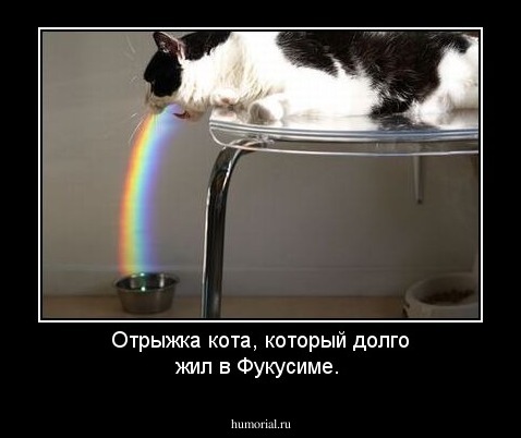 Отрыжка кота, который  долго жил в Фукусиме.