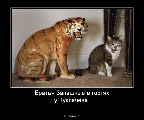 Братья Запашные в гостях у Куклачёва 