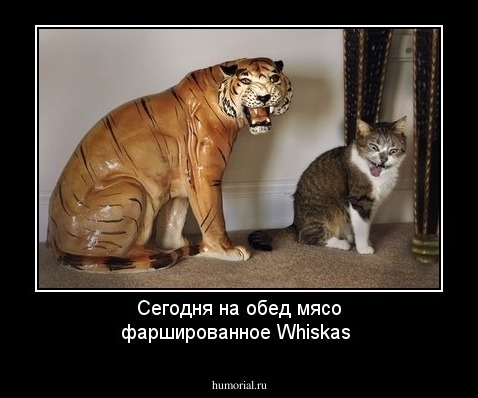 Сегодня на обед мясо фаршированное Whiskas
