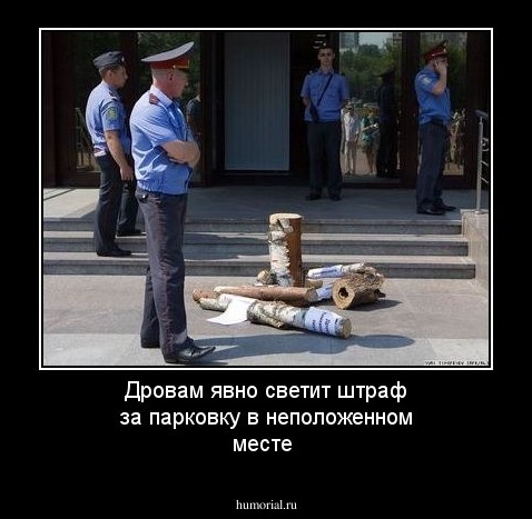 Дровам явно светит штраф за парковку в неположенном месте