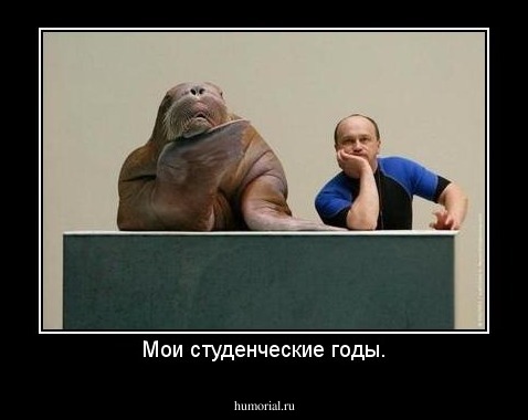 Мои студенческие годы.