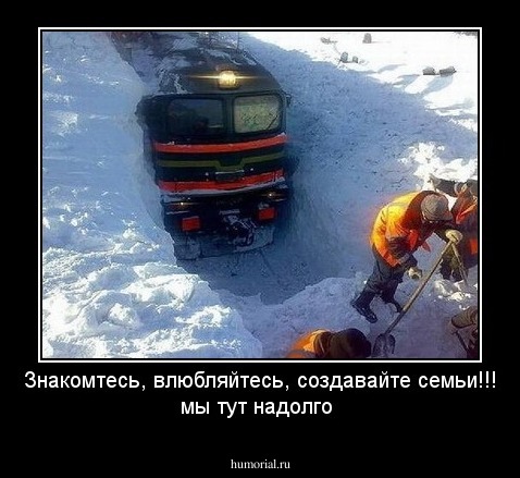 Знакомтесь, влюбляйтесь, создавайте семьи!!! мы тут надолго