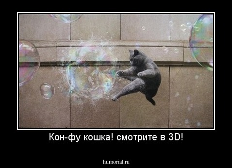 Кон-фу кошка! смотрите в 3D!