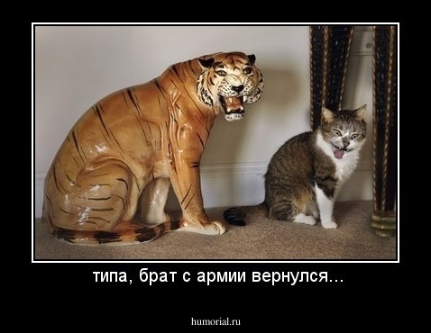 типа, брат с армии вернулся...