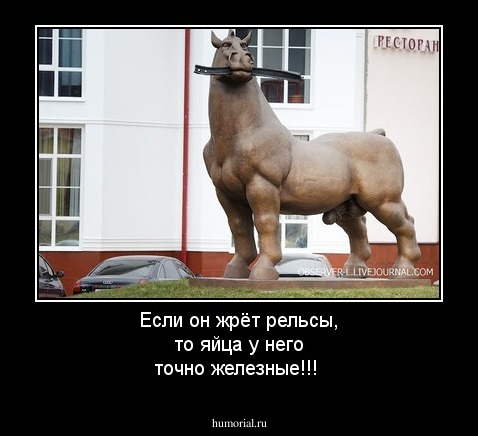 Если он жрёт рельсы, то яйца у него точно  железные!!!