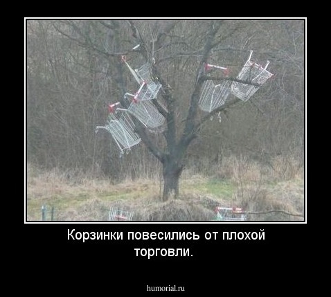 Корзинки повесились от плохой торговли.