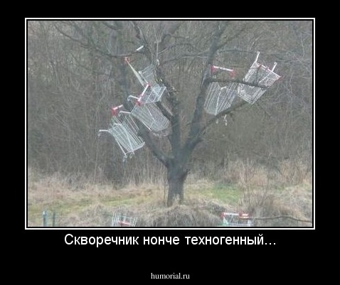 Скворечник нонче техногенный...