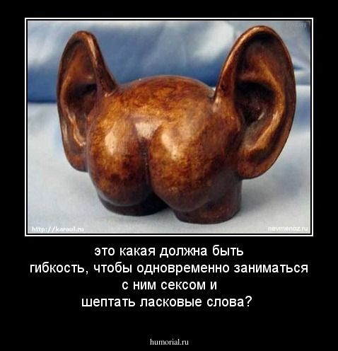это какая должна быть гибкость, чтобы одновременно заниматься с ним сексом и шептать ласковые слова?