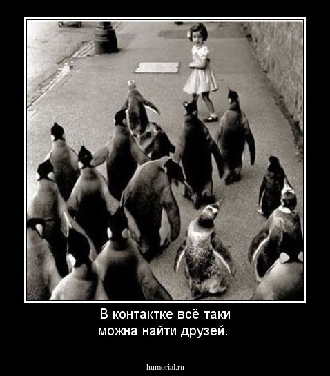 В контактке всё таки можна найти друзей.