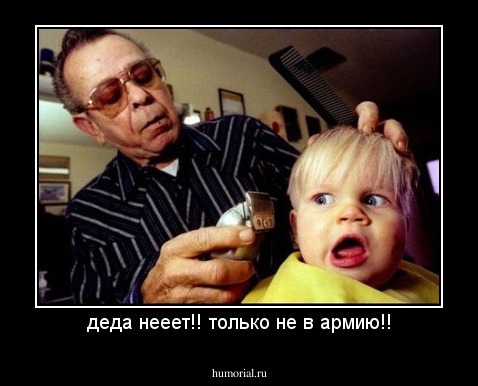 деда нееет!! только не в армию!!