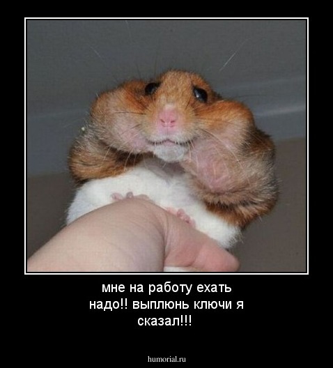 мне на работу ехать надо!! выплюнь ключи я сказал!!!