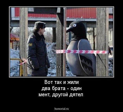 Вот так и жили два брата - один мент, другой дятел