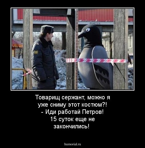 Товарищ сержант, можно я уже сниму этот костюм?!
- Иди работай Петров! 15 суток еще не закончились!