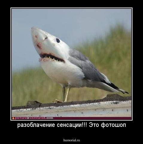 разоблачение сенсации!!! Это фотошоп