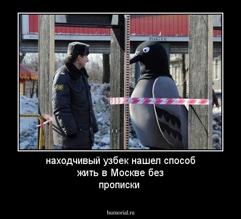 находчивый узбек нашел способ жить в Москве без прописки