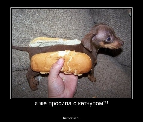 я же просила с кетчупом?!
