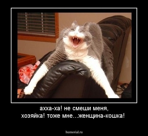 ахха-ха! не смеши меня, хозяйка! тоже мне...женщина-кошка!