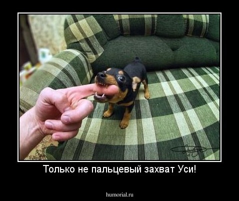 Только не пальцевый захват Уси!