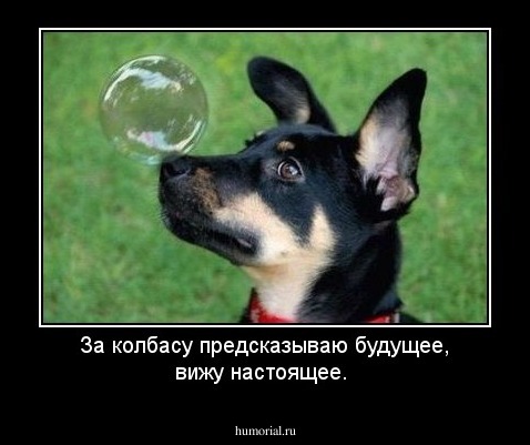За колбасу предсказываю будущее, вижу настоящее. 