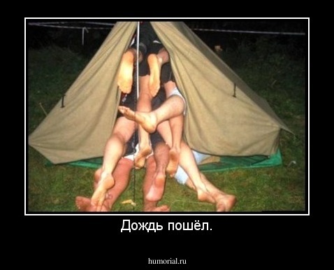 Дождь пошёл.