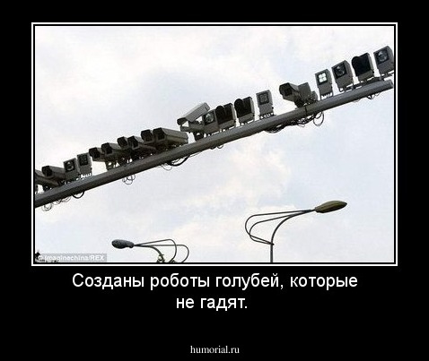 Созданы роботы голубей, которые не гадят.