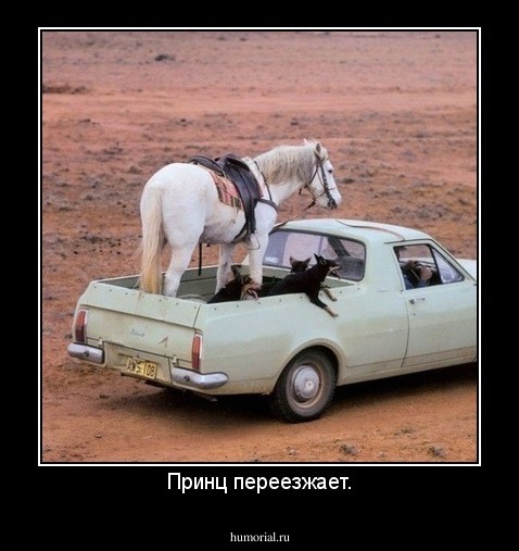Принц переезжает.