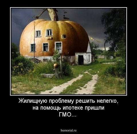  Жилищную проблему решить нелегко, на помощь ипотеке пришли ГМО...