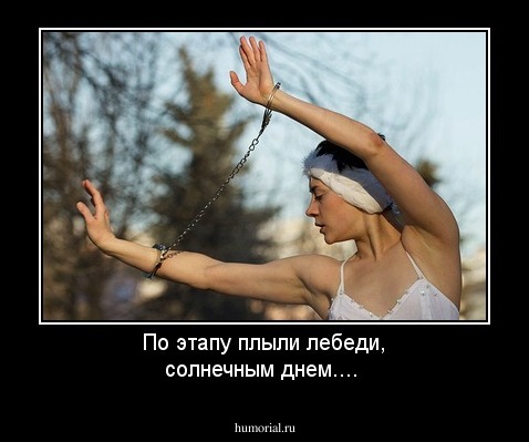 По этапу плыли лебеди, солнечным днем....