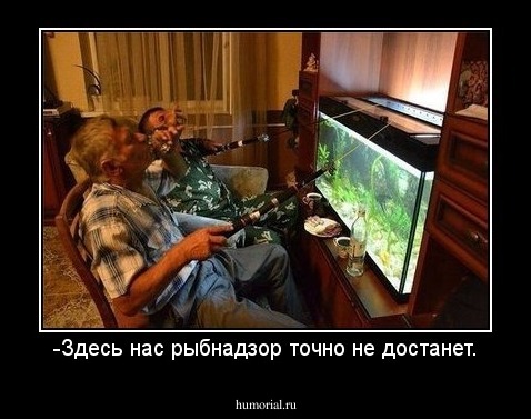 -Здесь нас рыбнадзор точно не достанет.