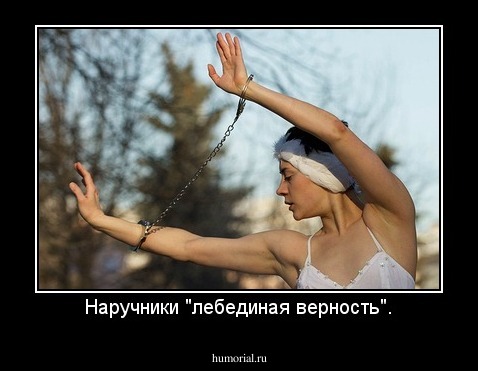 Наручники "лебединая верность".