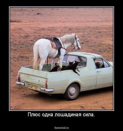 Плюс одна лошадиная сила.