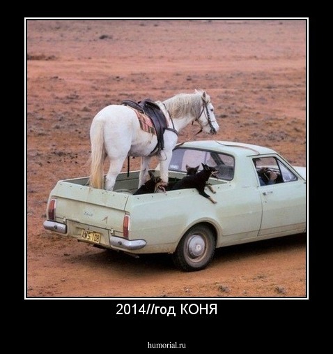 2014//год КОНЯ