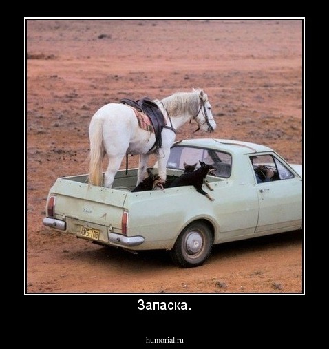 Запаска.