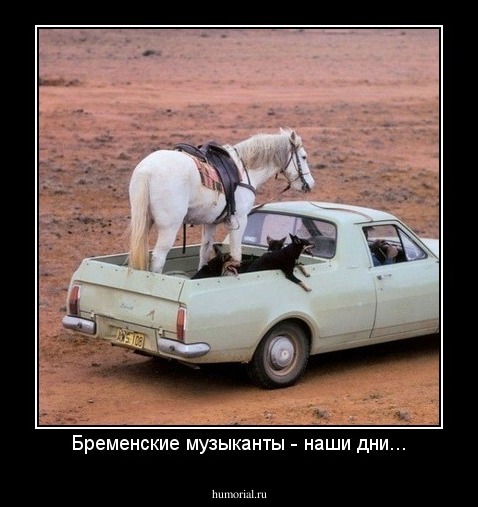 Бременские музыканты - наши дни...