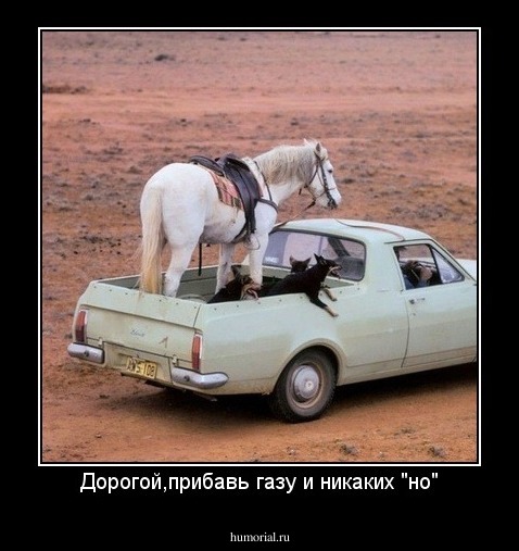 Дорогой,прибавь газу и никаких "но"