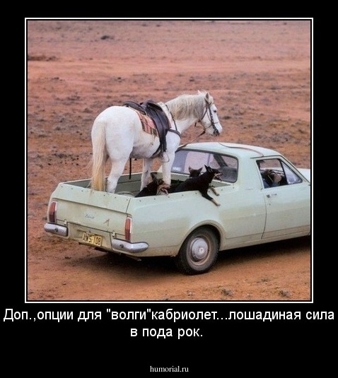 Доп.,опции для "волги"кабриолет...лошадиная сила в пода
рок.