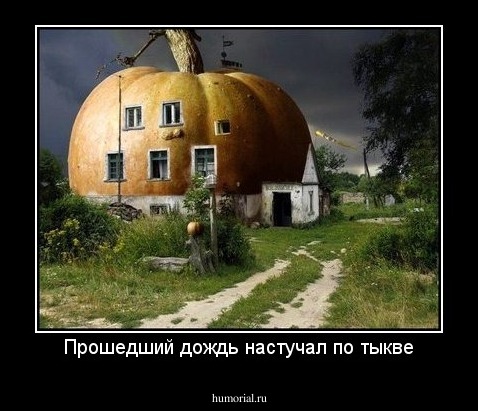 Прошедший дождь настучал по тыкве